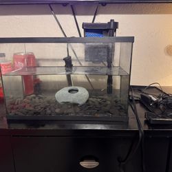 Fish Tank 10  Gallon 
