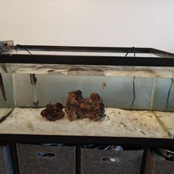 Complete 45-Gallon Trigger Saltwater Aquarium Setup – Ready to Go!