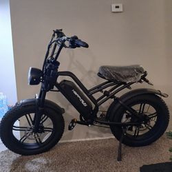 HAPPYRUN 1500W Electric Bike