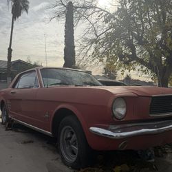 1966 mustang 6 Cylinder 