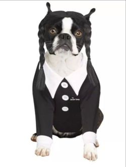 Wednesday Addams Pet Costume - The Addams Family