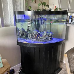 Large Fish Tank With Accessories 