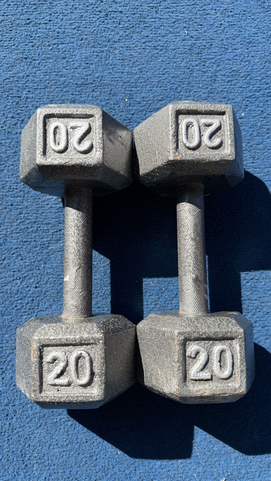 20 Pound Dumbbells 