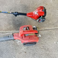 Blower and weedeater