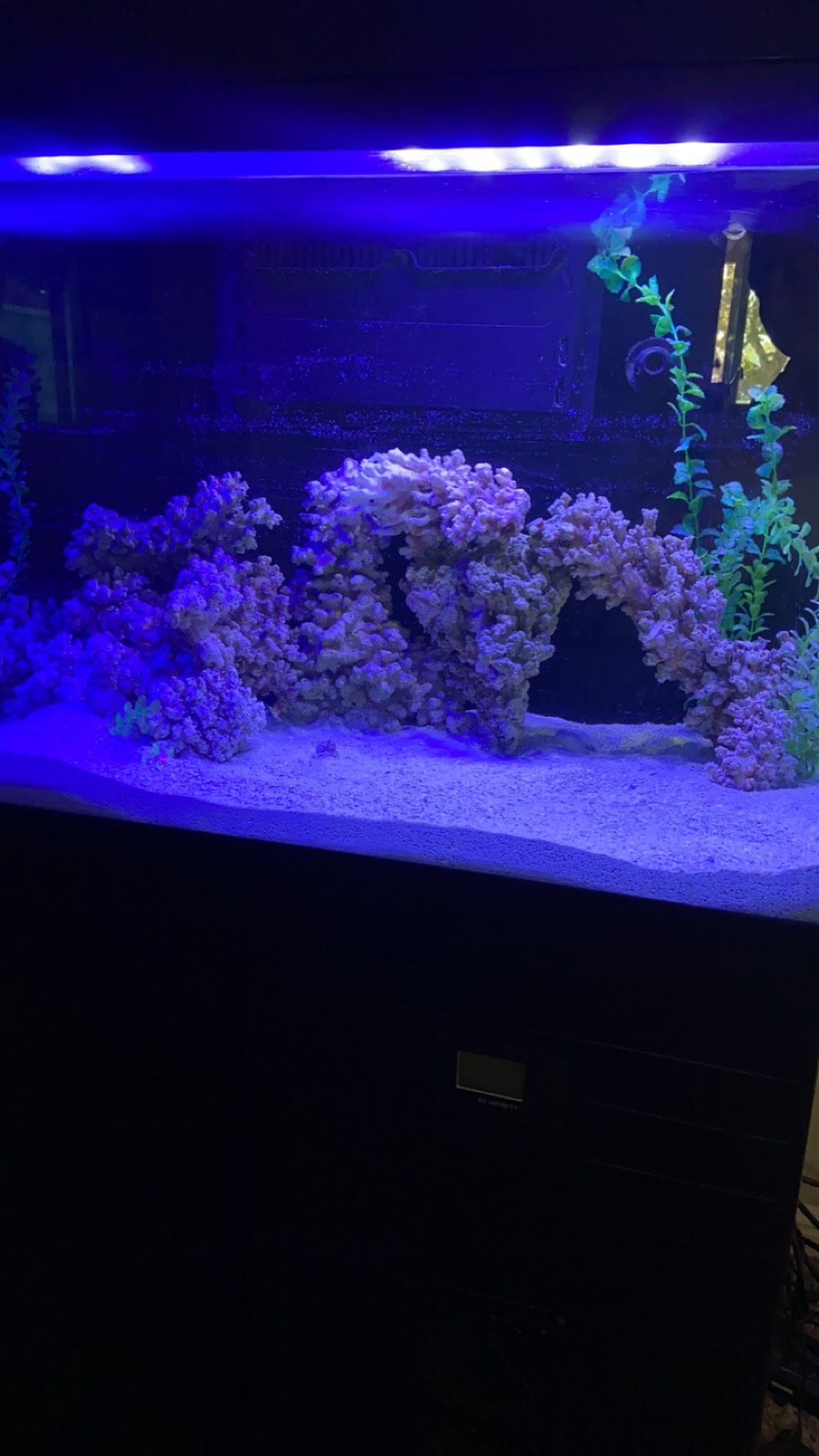 Red Sea Aquarium 65 Gallons Saltwater 340 for Sale in Hesperia, CA OfferUp