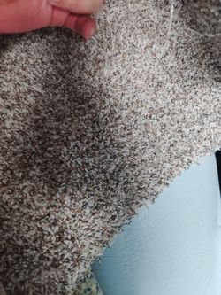 New Carpet