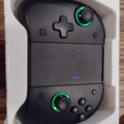 Nintendo Switch Controllers