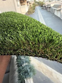 New 1500sf Roll Spring 86 Ounce Turf Artificial Grass