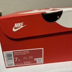 Brand New Nike Dunks