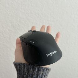 Logic Mouse