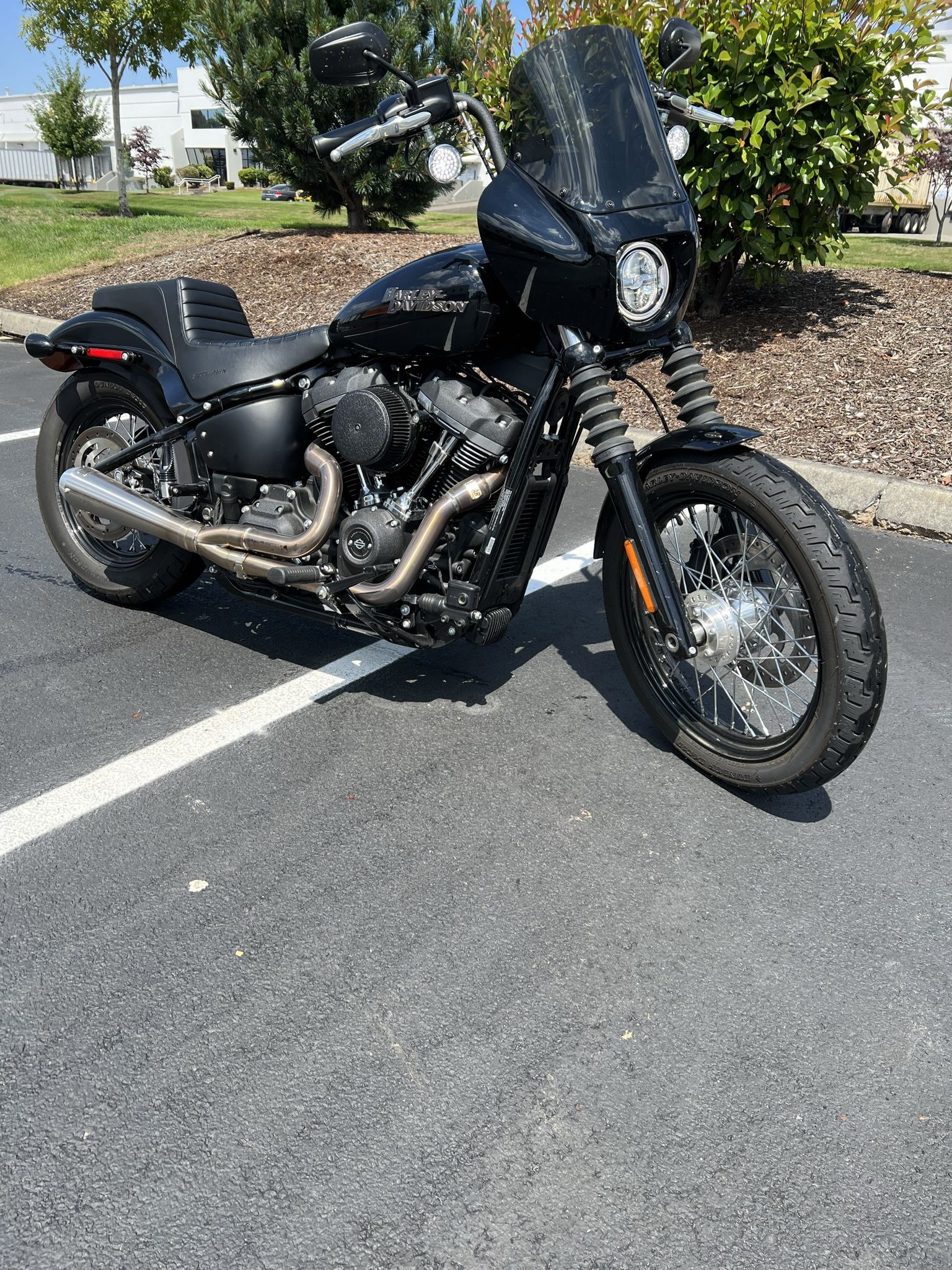2020 Harley Street Bob