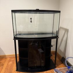 55 Gallon Fish Tank 