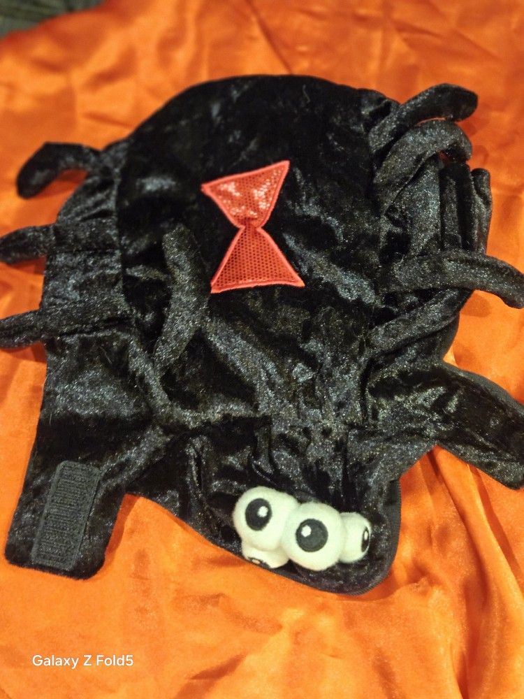 Small Halloween Pet/animal Costume