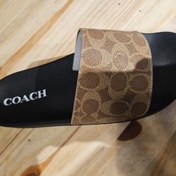 Coach slides