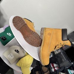 Timberland Boots 6 Inch Premywaterproof Boot Wide Wheat