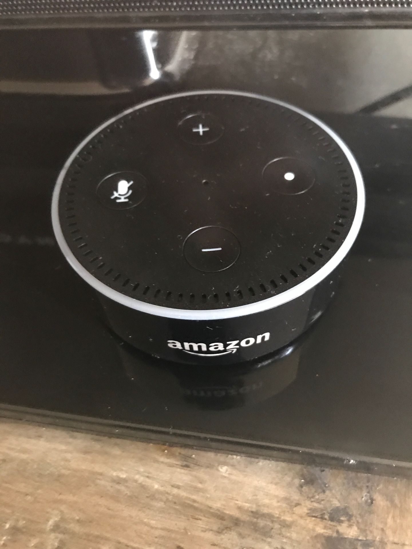 Alexa echo