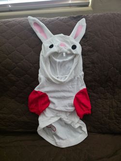 Bunny Costume PETS