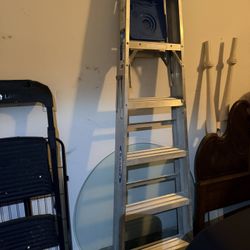 Warner Aluminum Ladder