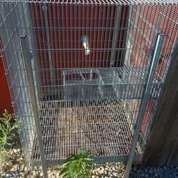 English Wire Bird Cage