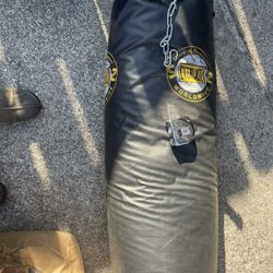 Everlast Punching Bag