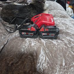 Two 5 Amph Batteries And A Rapid Charger