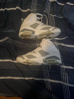 Jordan 6 (cool gray)