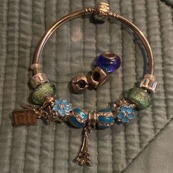 Pandora bracelet with charms