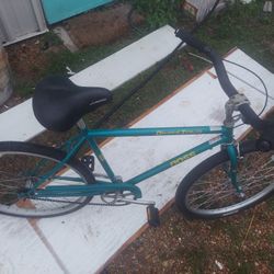 Beach cruiser single speed