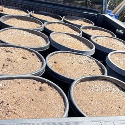 Tierra Incluye Contenedor De 15 Gal