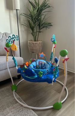 Baby Einstein Bouncer