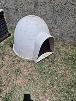 Dod house igloo