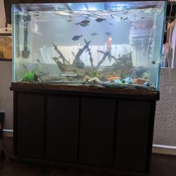 100 Gallon Fish Aquarium 