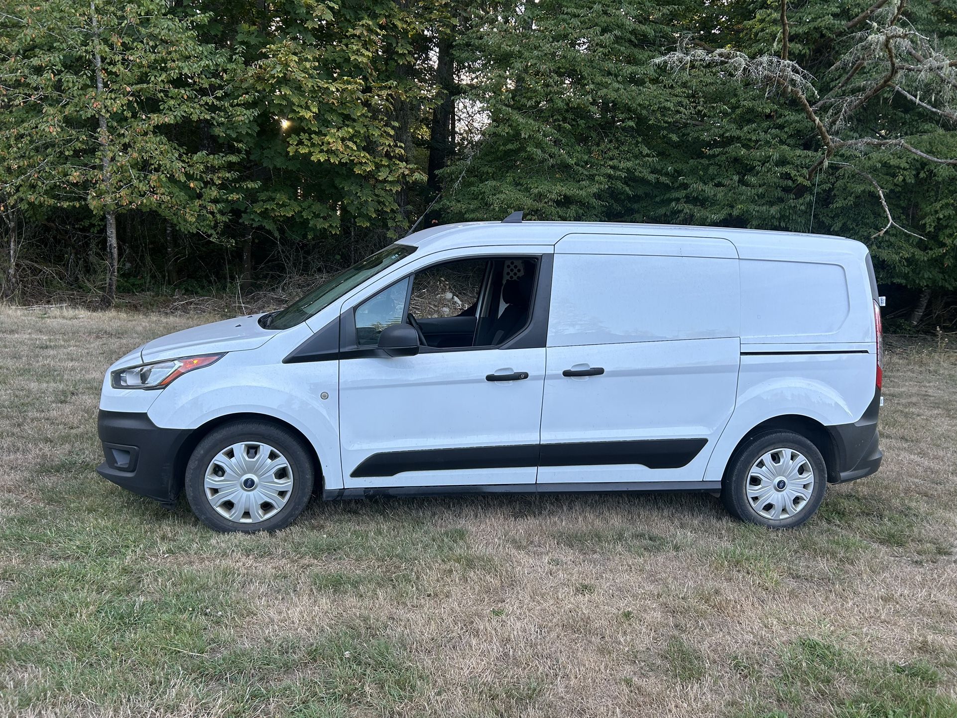 2019 Ford Transit Connect
