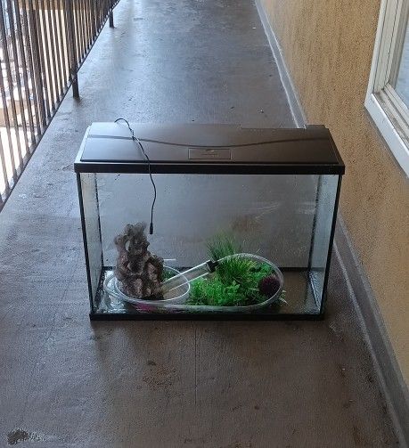 Top fin fish tank 30" wide 21" high 12½" deep