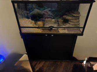 Reptile Aquarium 