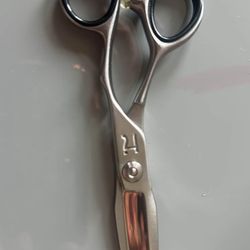 Hanson Shears