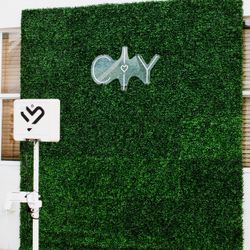 Greenery hedge Wall 110x94