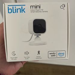 Brand new blink Mini