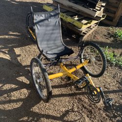 Terra Trike Recumbent Bike 