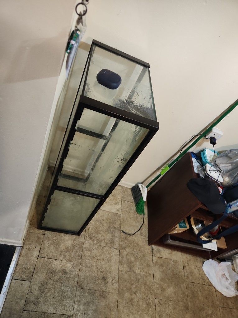 50 gallon tank