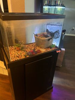Tank & stand