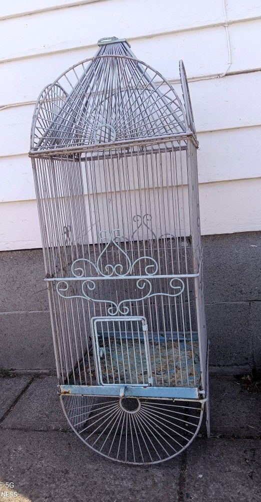 Bird Cage