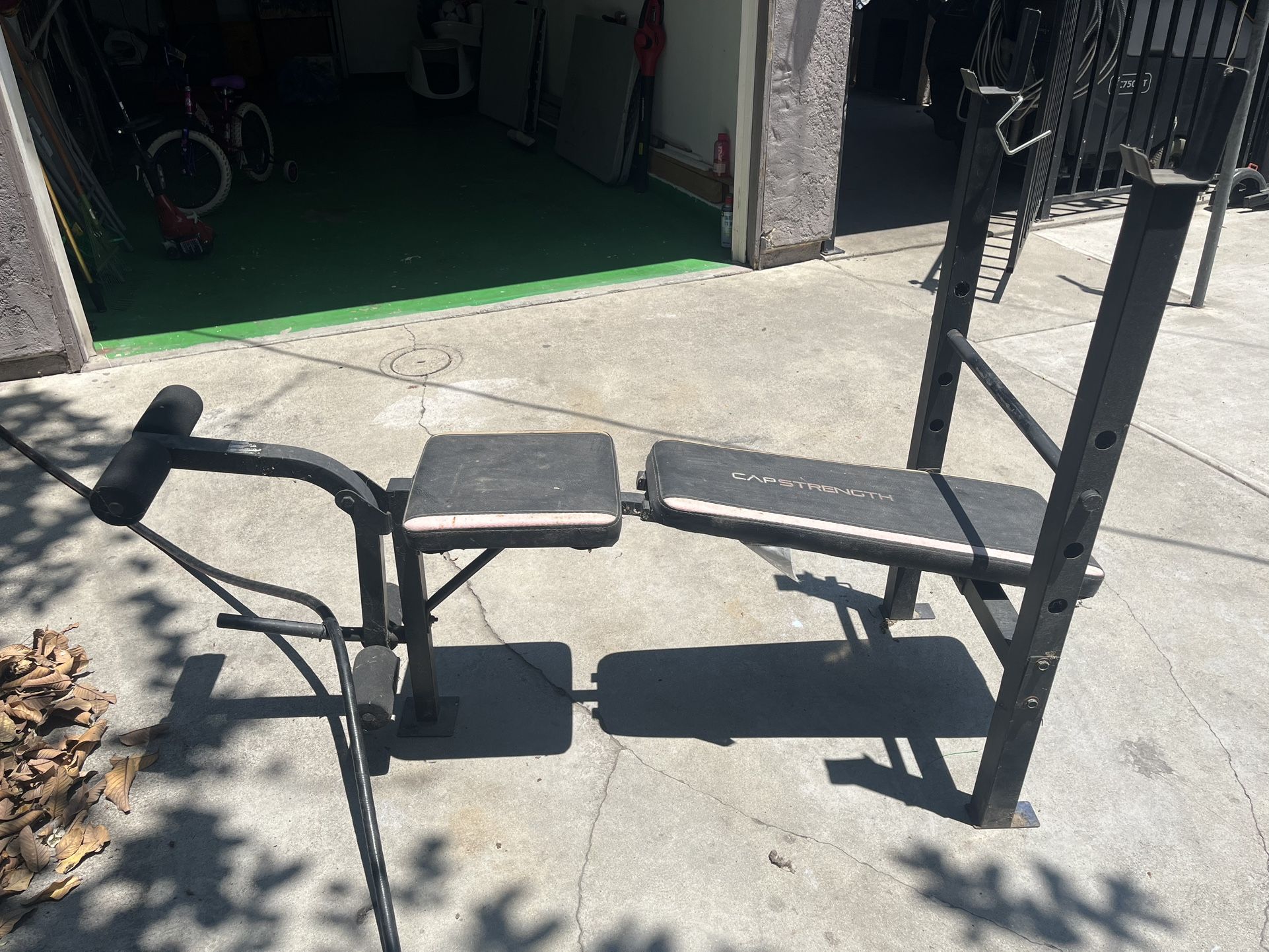 Bench Press $50