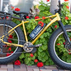 Luna Cycles Electric Bike