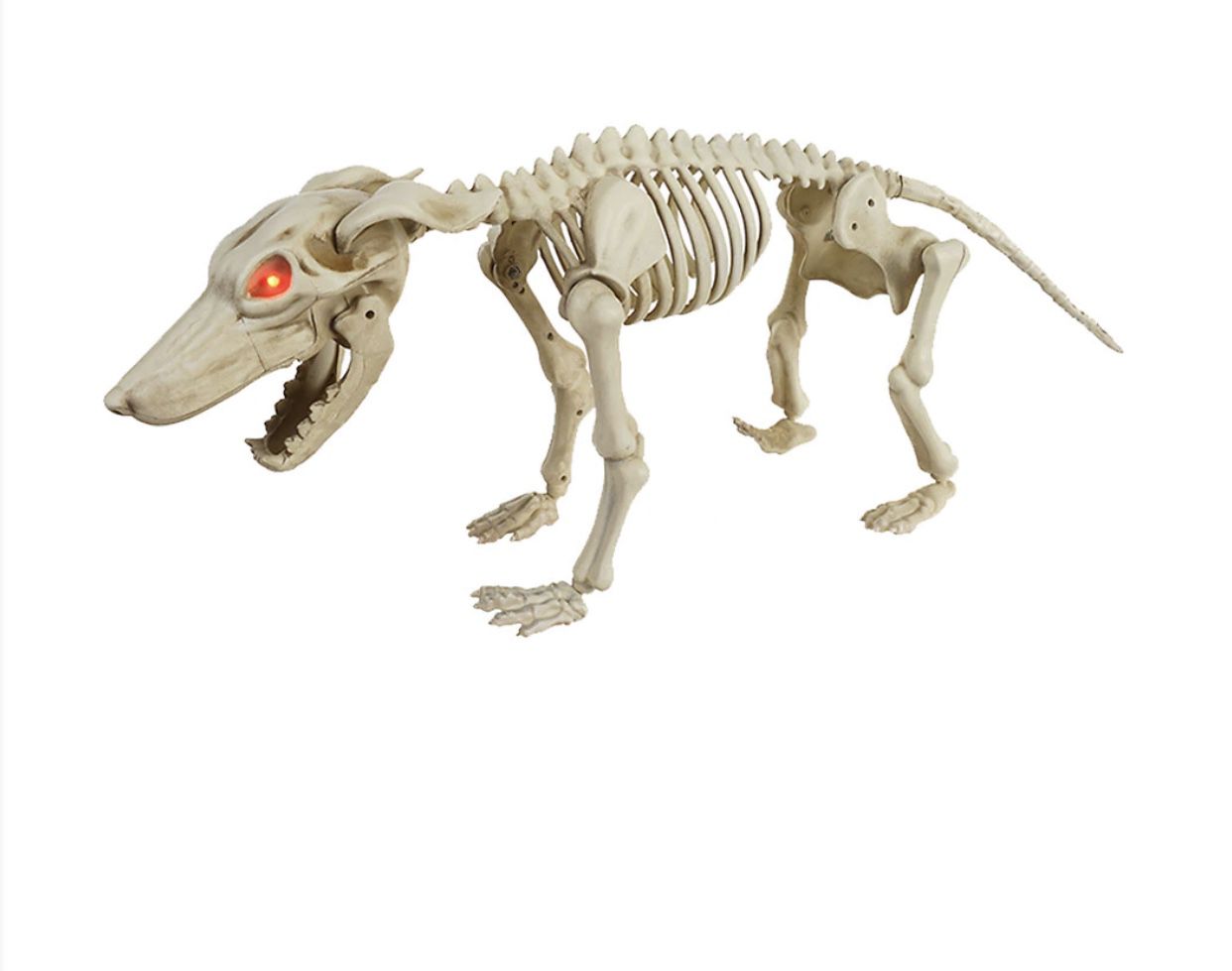 Halloween skeleton dog