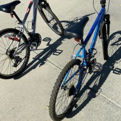 Two 24” Boys Bikes 