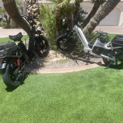 Both AWD Wallke E-bikes 
