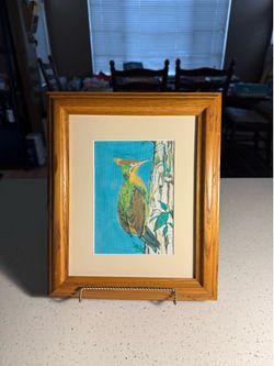 Vintage Woodpecker Framed Art – Nature Bird Print Wood Frame Wall Decor