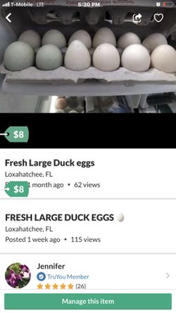 FRESH LARGE DUCK EGGS