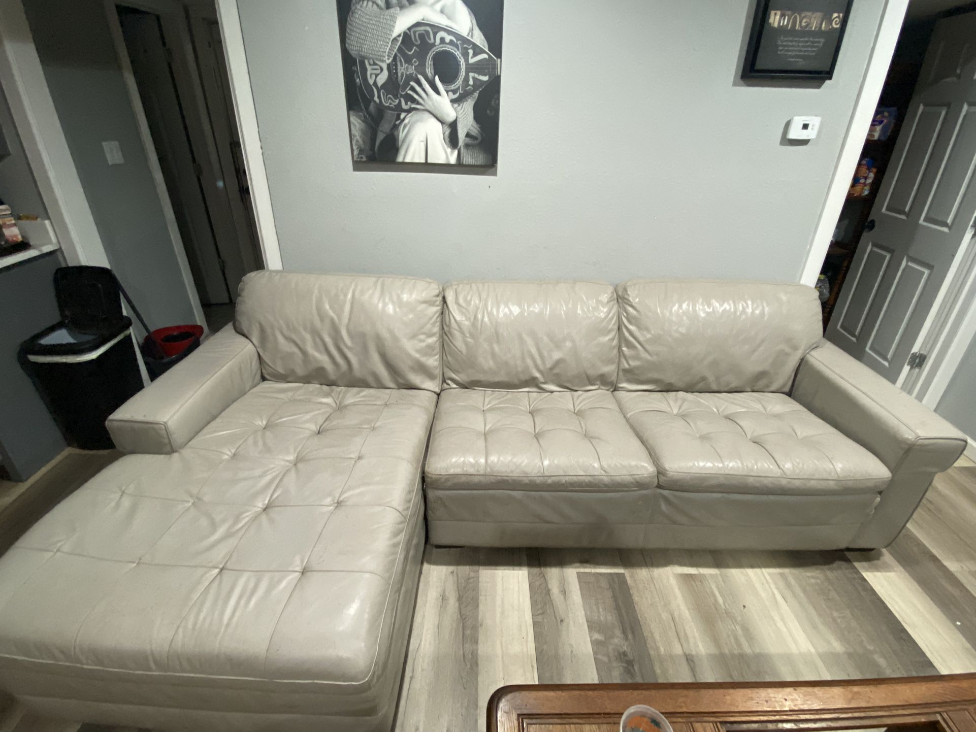 Leather couch.  Used